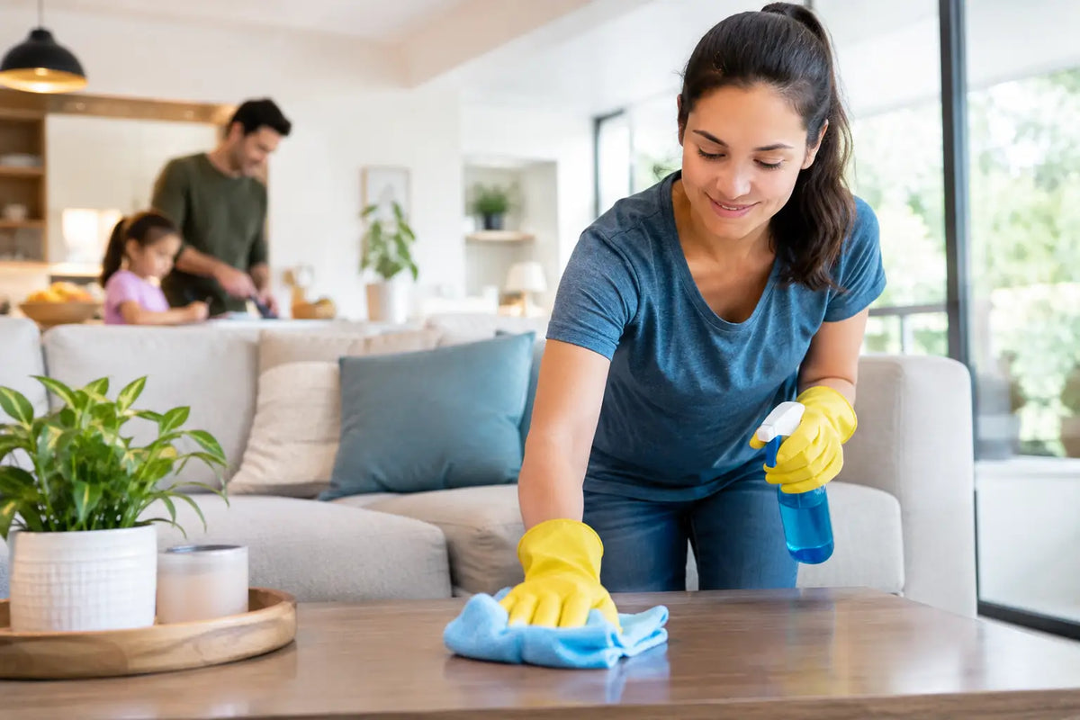 A Cleaning Results Example for Busy Homes