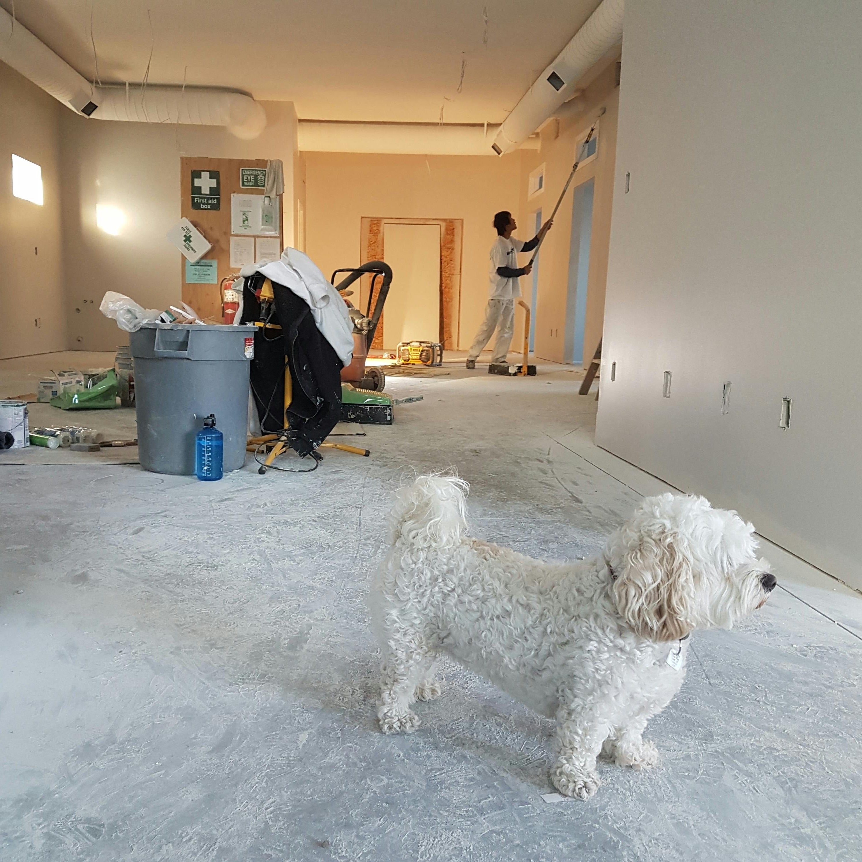 Post-Construction Cleaning Services