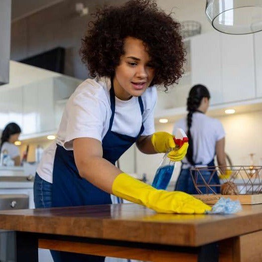 Monthly Cleaning Services