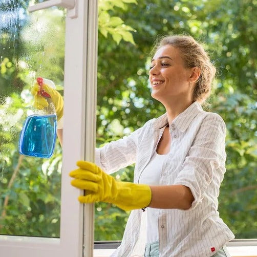 Interior Window Cleaning