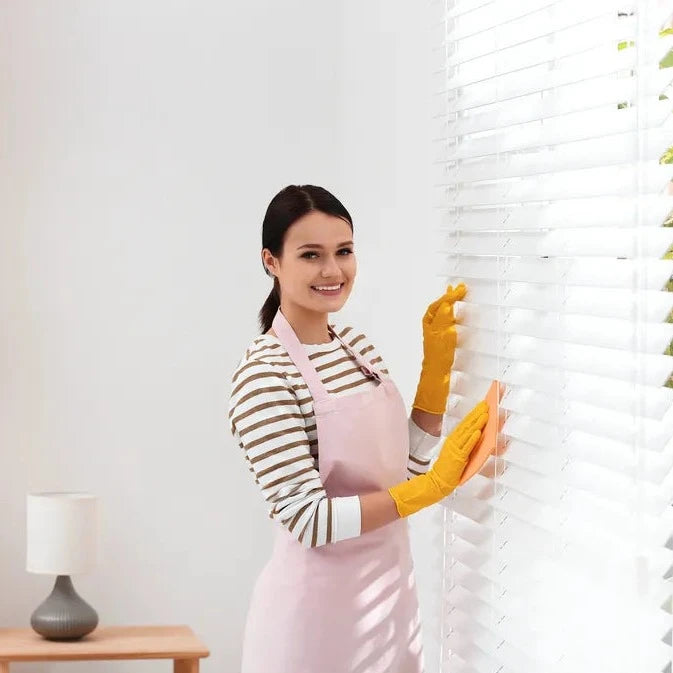Interior Window Blinds
